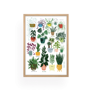 Botanicals